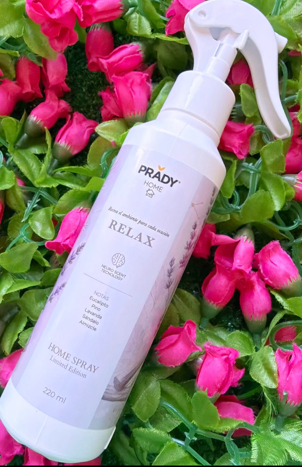 Ambientador de Casa Relax - Prady