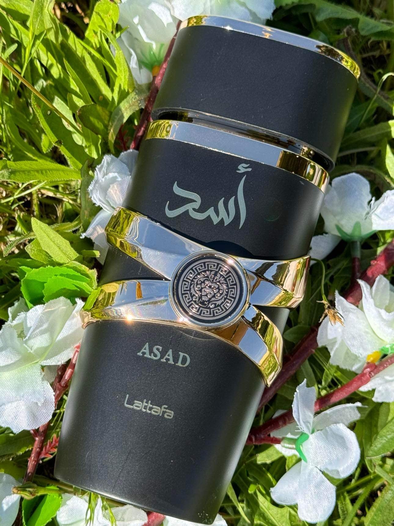 ASAD - Lattafa